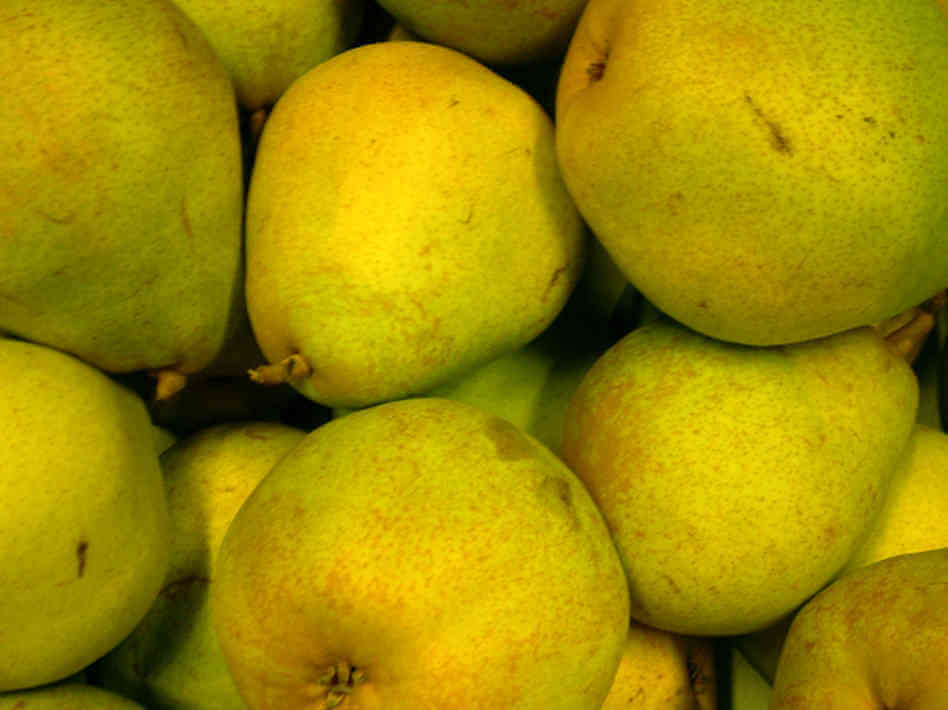 Kinds Of Pears