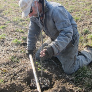 Kinds Of Soil Water